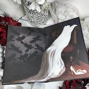 Catherine Wiltcher Box, Limited Edition | A-Grade & B-Grade